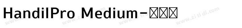 HandilPro Medium字体转换
